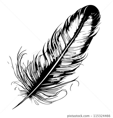 bird feather. Hand drawn illustration converted to vector. Outline with white background bird feather. Hand drawn illustration converted to vector. Outline with white background 115324466