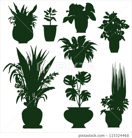 Collection silhouettes houseplants. Potted plants isolated on white. Set green 115324468