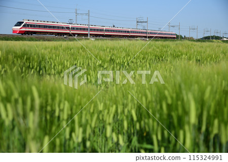 東武伊勢崎線特急兩毛運行的麥田風景 東武伊勢崎線特急兩毛運行的麥田風景 115324991