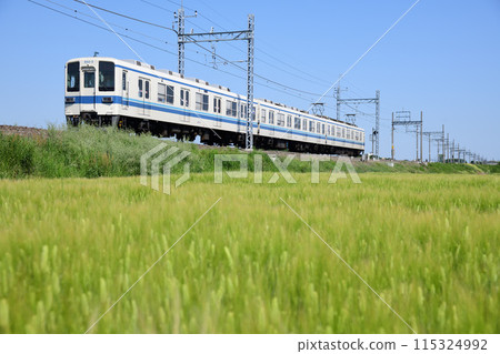 東武伊勢崎線普通列車運行的麥田風景 東武伊勢崎線普通列車運行的麥田風景 115324992