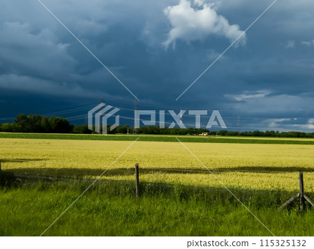 Agricultural Landscape And Energy Pylons In Front Of Thunderstorm Clouds In Austria 115325132