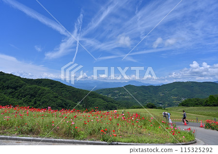天空中的罌粟 秩父高原農場(埼玉縣南野町東秩父村) 天空中的罌粟 秩父高原農場(埼玉縣南野町東秩父村) 115325292