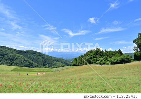 秩父高原農場的風景（埼玉縣） 115325413