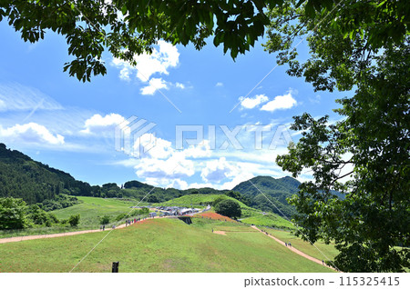 秩父高原農場的風景(埼玉縣) 秩父高原農場的風景(埼玉縣) 115325415