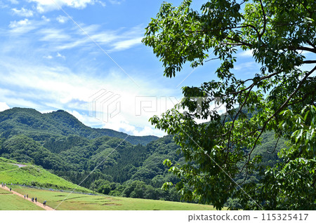 Scenery of Chichibu Plateau Ranch (Saitama Prefecture) Scenery of Chichibu Plateau Ranch (Saitama Prefecture) 115325417