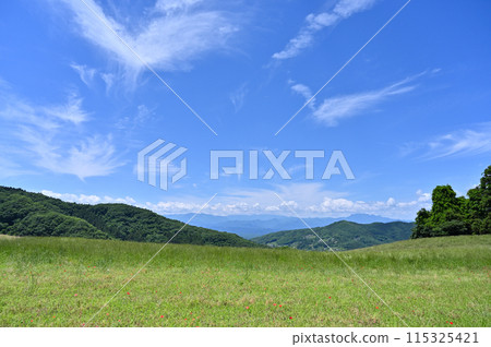 秩父高原農場的風景（埼玉縣） 115325421