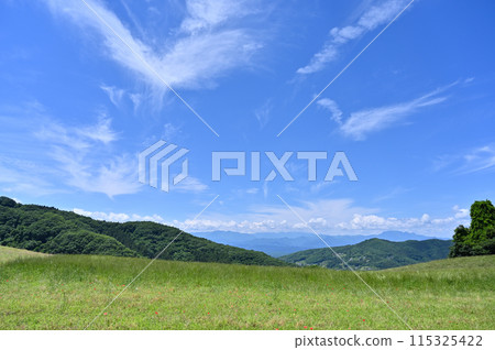 秩父高原農場的風景（埼玉縣） 115325422