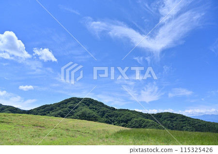 秩父高原農場的風景（埼玉縣） 115325426