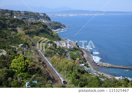 相模灣和E257東海道線特急大通子 115325467