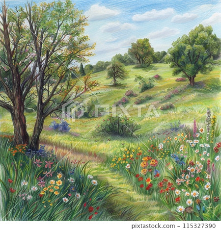 Nature and landscape, illustration of trees, forest, mountains, flowers, plants Nature and landscape, illustration of trees, forest, mountains, flowers, plants 115327390