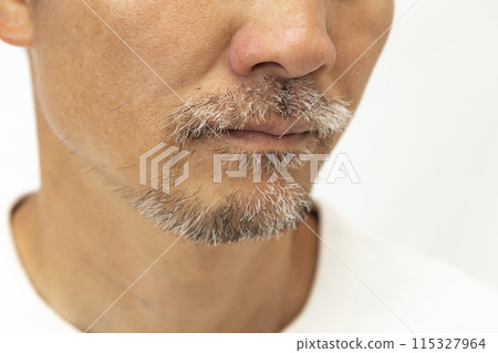 Bearded man on white background Bearded man on white background 115327964