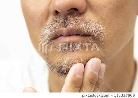 Bearded man on white background Bearded man on white background 115327969
