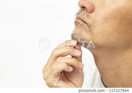 男人摸著鬍子,側身,白色背景 男人摸著鬍子,側身,白色背景 115327984