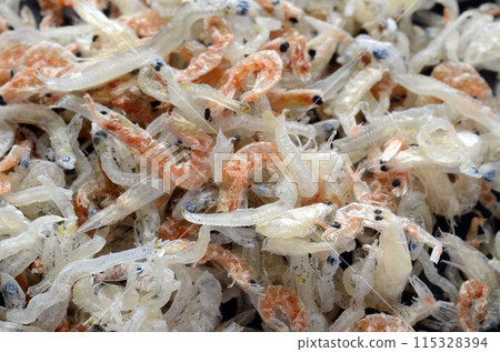 Shrimp crepe Shrimp crepe 115328394