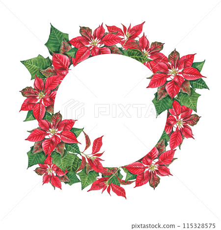 Frame of New Year poinsettia on a white background. Watercolor illustration of a red poinsettias. Euphorbia pulcherrima. Christmas Star. Star of Bethlehem. The New Year's plant, design, pack, banner. Frame of New Year poinsettia on a white background. Watercolor illustration of a red poinsettias. Euphorbia pulcherrima. Christmas Star. Star of Bethlehem. The New Year's plant, design, pack, banner. 115328575