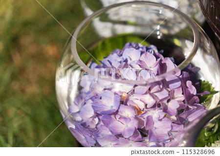 Hydrangea in a glass 115328696