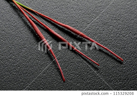 煙火煙花 煙火煙花 115329208
