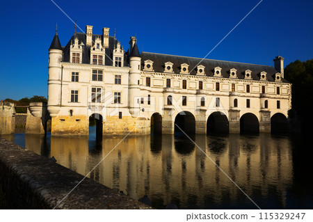 Gallery and living rooms of Chateau de Chenonceau Gallery and living rooms of Chateau de Chenonceau 115329247