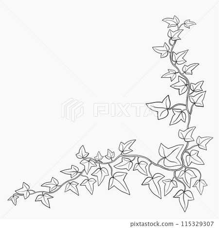 Floral ivy drawing decorative ornament flat design. 115329307