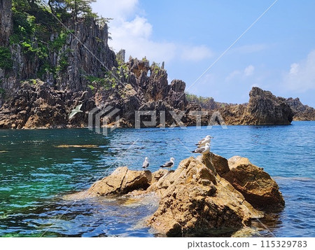 尖閣灣揚島遊樂園、海貓湖 尖閣灣揚島遊樂園、海貓湖 115329783