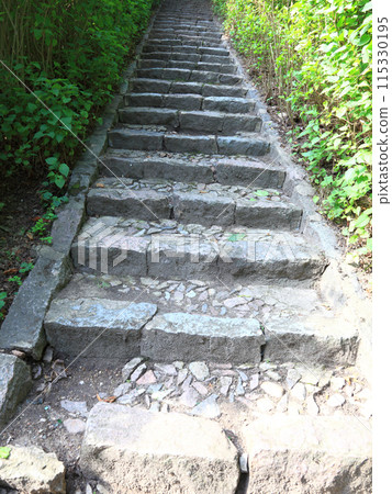 Concrete stairs in the jungle nature outdoor Concrete stairs in the jungle nature outdoor 115330195