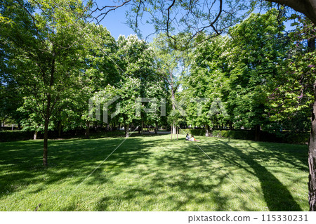 People enjoying grassy wooded area in El Retiro Park on sunny April morning. 115330231