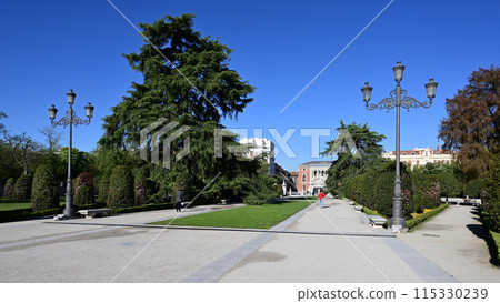 El Retiro Park in Madrid, Spain on clear sunny April morning. 115330239