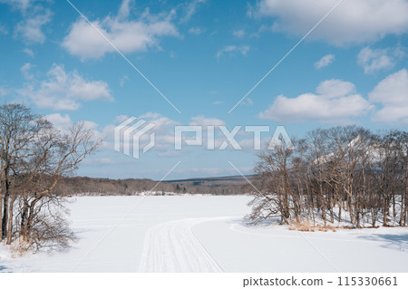 Winter snow lake at Onuma Quasi-National Park in Hokkaido, Japan 115330661
