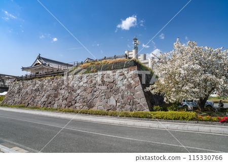 甲府站週邊甲府市歷史公園街景（山梨縣） 115330766