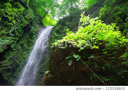 德島縣神山町神通瀑布 115330913