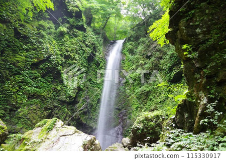 德島縣神山町神通瀑布 德島縣神山町神通瀑布 115330917
