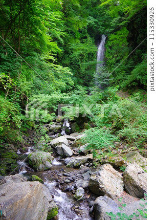 Jinzu Falls visible in the background, Kamiyama Town, Tokushima Prefecture Jinzu Falls visible in the background, Kamiyama Town, Tokushima Prefecture 115330926