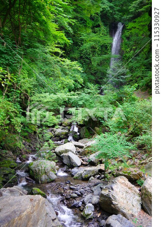 Jinzu Falls visible in the background, Kamiyama Town, Tokushima Prefecture Jinzu Falls visible in the background, Kamiyama Town, Tokushima Prefecture 115330927