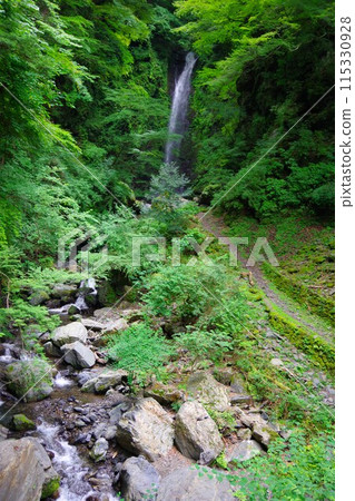 Jinzu Falls, Kamiyama Town, Tokushima Prefecture 115330928