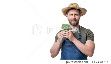 man in apron and hat with broccoli vegetable isolated on white. copy space 115330964
