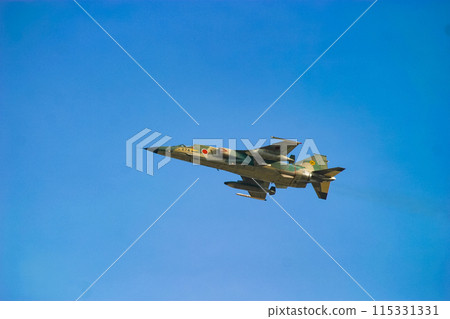 航空自衛隊展示的F-1戰鬥機 115331331