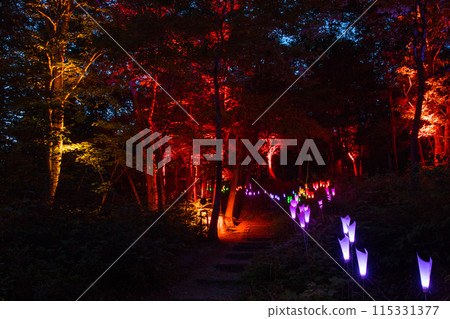 Lighting up the Kuuki Shrine 115331377