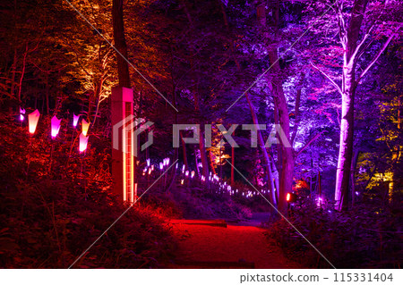 Lighting up the Kuuki Shrine 115331404