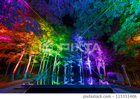 空中神社點燈 115331406