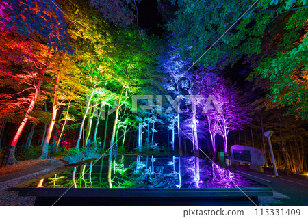 空中神社點燈 115331409