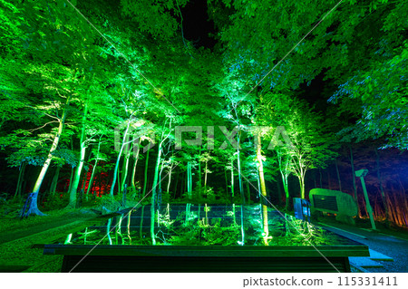 空中神社點燈 115331411