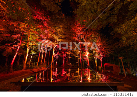 Lighting up the Kuuki Shrine 115331412