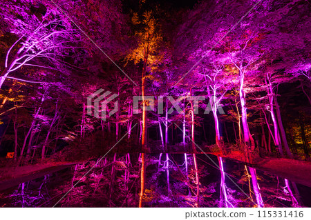 Lighting up the Kuuki Shrine Lighting up the Kuuki Shrine 115331416