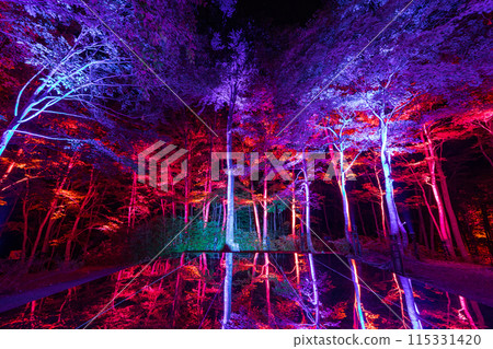 Lighting up the Kuuki Shrine 115331420