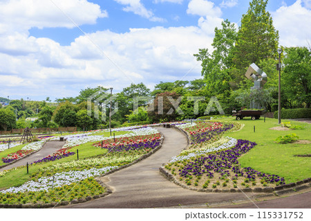 Flower Culture Garden: Early summer flowers in full bloom 115331752