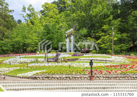 Flower Culture Garden: Early summer flowers in full bloom Flower Culture Garden: Early summer flowers in full bloom 115331760