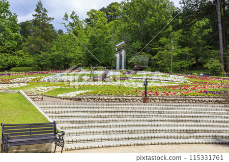 Flower Culture Garden: Early summer flowers in full bloom Flower Culture Garden: Early summer flowers in full bloom 115331761