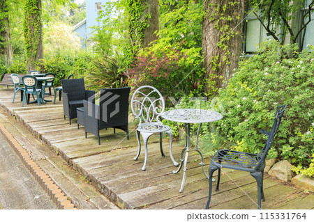 Flower Culture Garden: Early summer flowers in full bloom 115331764
