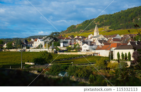 Houses and nature of ancient city Saint-Aubin, Burgundy with vineyards 115332113