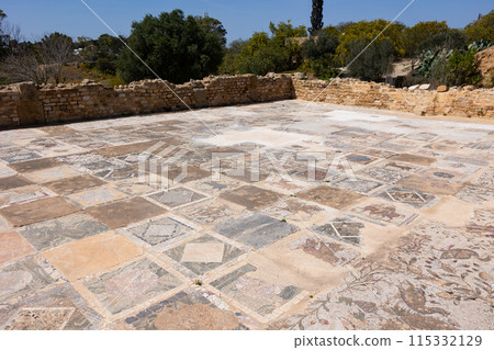 Mosaic floor of roman villas in Carthage, Tunisia Mosaic floor of roman villas in Carthage, Tunisia 115332129